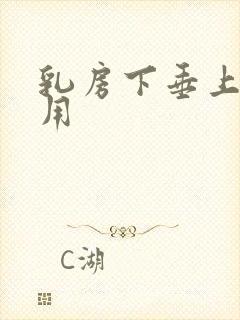 乳房下垂上提费用封面