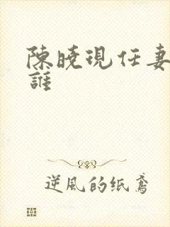 陈晓现任妻子是谁