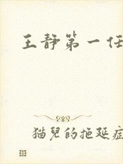 王静第一任丈夫封面