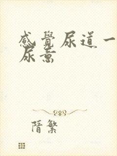 感觉尿道一直有尿意