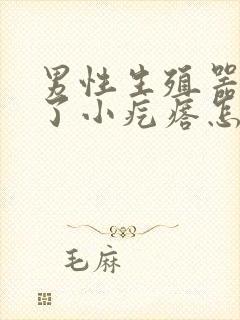 男性生殖器上长了小疙瘩怎么回事