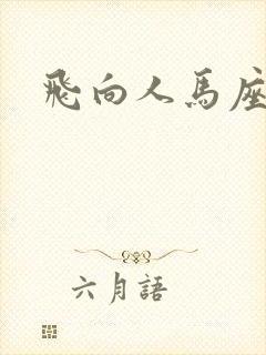飞向人马座封面