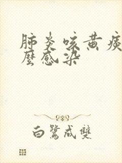 肺炎咳黄痰是什么感染