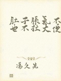 肚子胀气不放屁也不拉大便