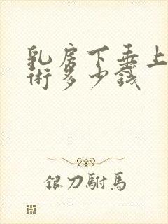 乳房下垂上提手术多少钱