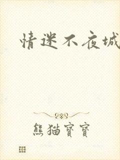 情迷不夜城