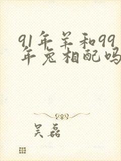 91年羊和99年兔相配吗