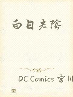 白日光阴封面