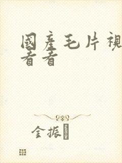 国产毛片视频我看看