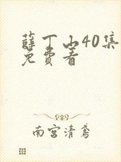 薛丁山40集全免费看封面