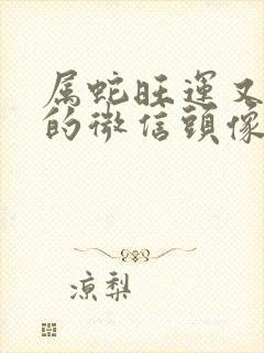 属蛇旺运又旺财的微信头像