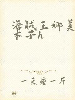 海贼王娜美同人本子h封面