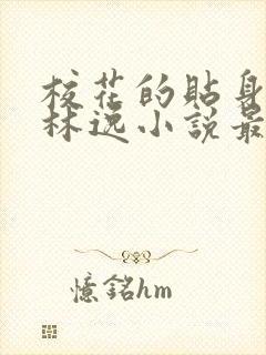 校花的贴身高手林逸小说最新章封面