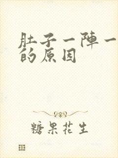 肚子一阵一阵痛的原因封面