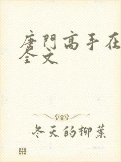 唐门高手在异世全文