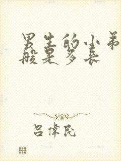 男生的小弟弟一般是多长