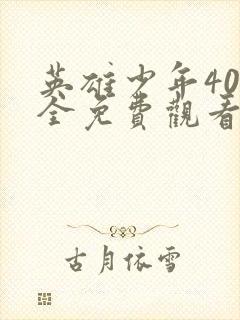 英雄少年40集全免费观看电视剧封面