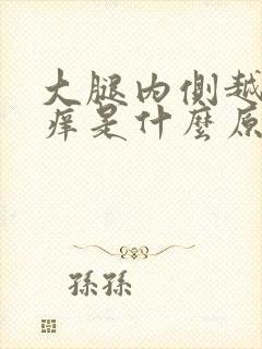 大腿内侧越抓越痒是什么原因