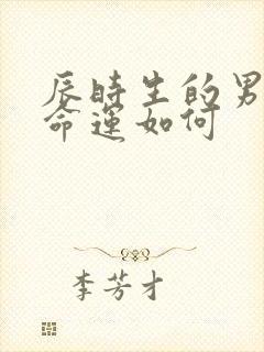辰时生的男孩子命运如何封面