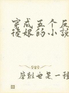 穿成五个反派的后娘的小说