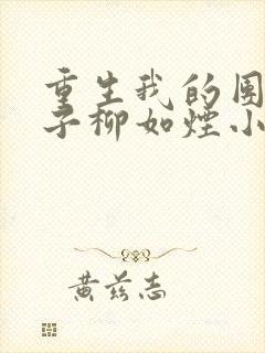 重生我的团长妻子柳如烟小说封面