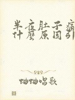 半夜肚子痛想吐什么原因引起的