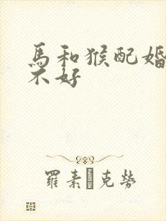 马和猴配婚姻好不好