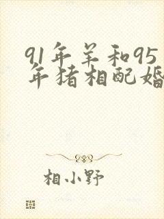 91年羊和95年猪相配婚姻如何封面