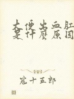 大便出血肛门疼是什么原因引起的