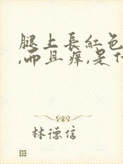 腿上长红色疙瘩,而且痒,是什么毛病