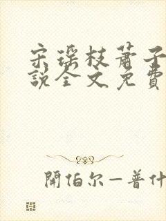 宋瑶枝萧子骞小说全文免费阅读