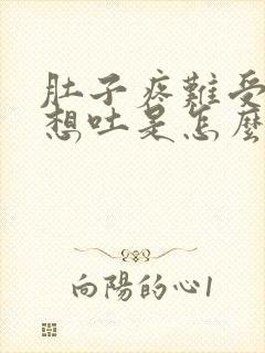 肚子疼难受恶心想吐是怎么回事