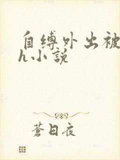 自缚外出被调教h小说封面