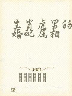 生肖虎男的最佳婚配属相