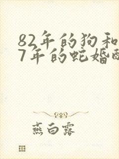 82年的狗和77年的蛇婚配如何封面