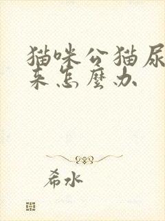 猫咪公猫尿不出来怎么办