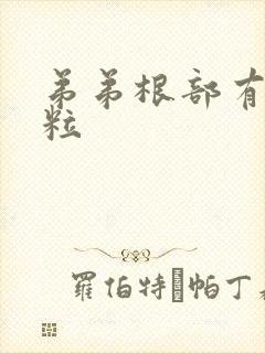 弟弟根部有小肉粒封面