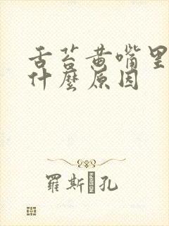 舌苔黄嘴里苦是什么原因