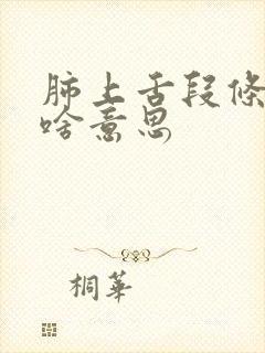 肺上舌段条索影啥意思