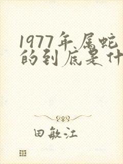 1977年属蛇的到底是什么命