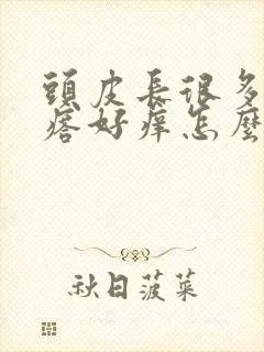 头皮长很多小疙瘩好痒怎么回事封面