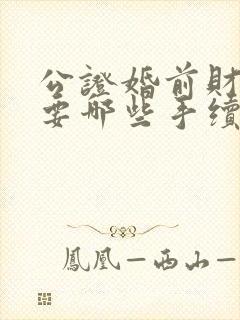 公证婚前财产需要哪些手续