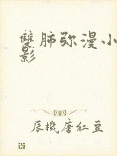 双肺弥漫小结节影