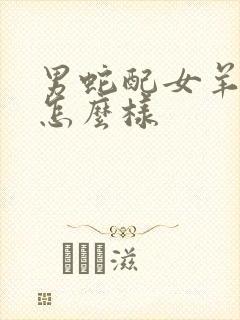 男蛇配女羊婚姻怎么样