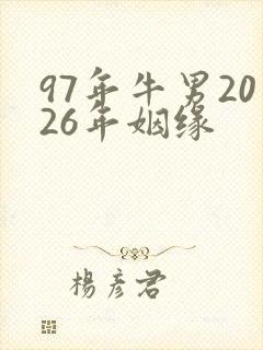 97年牛男2026年姻缘封面