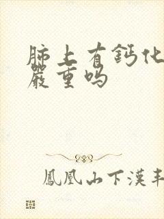 肺上有钙化结节严重吗封面