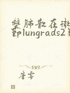 双肺散在微小结节lungrads2类封面