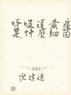 呼吸道黄痰一般是什么细菌感染