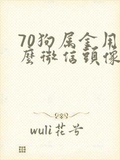 70狗属金用什么微信头像好