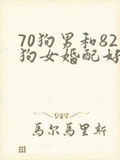 70狗男和82狗女婚配好吗